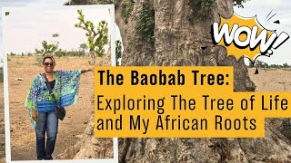 WOW! The Baobab Tree: Exploring Senegal’s Tree of Life and My African Roots (Travel Vlog)