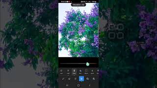 ⭐ TECH: How To Create A Dreamy Film Look: Lightroom Editing Tutorial | English