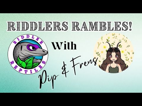 EP06 Inverts, Reptiles and TikTok with Pip & Frens!