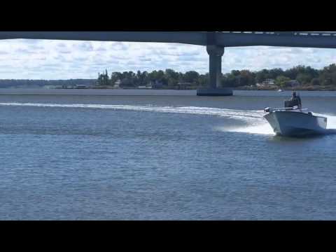 Whitmore Marine Striper 202