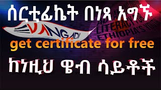 እውቀትን ወደ ገቢ የሚቀይሩባቸው ምርጥ ዌብ ሳይቶች! | Best Free Sites to Learn Tech Skills and Make Money ?