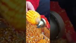 Corn Kernel Separator Operation - Unique tools to boost efficiency and streamline work