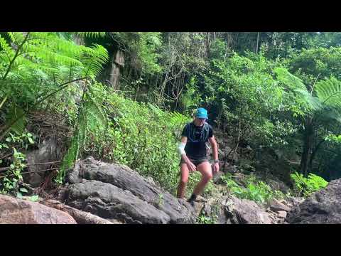 The Kiwi Adventurer // Springbrook National Park Trails