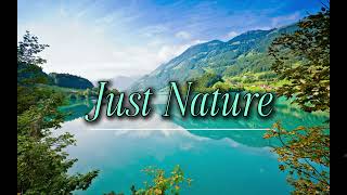 Relaxing Nature Sounds & Peaceful Music 🌿 |  Chillout Ambience