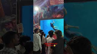 shikohabad mele mein pari 😆 #funny #comedy #shorts #pari #shikohabad #mela