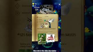 #121 North Island Lichen Moth - Ipana atronivea/Declana atronivea (Walker, 1865)| Flutter:Starlight