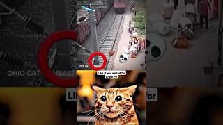 "OHIO FOOL IN DECEMBER" 💀 #trending #latest |4K SHORTS | OHIO CAT BOMBASTIC