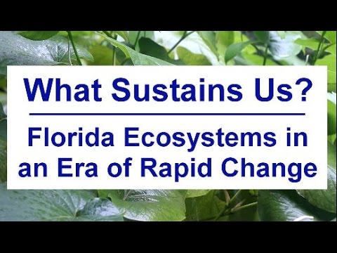 Humanities and the Sunshine State:What Sustains Us? 2016 Extended Look