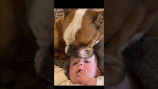 👶 Lovely Babies, Kids and Pets 🐶 Priceless Moments 🐾 Pure Souls 🥰 #BabiesAndPets #PureLove #KidsPets