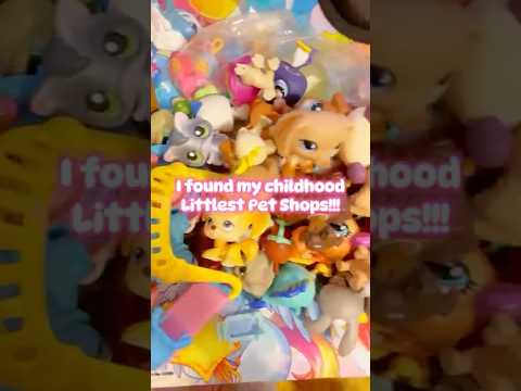 I found a box of my childhood Littlest Pet Shops!🐱#lps #littlestpetshop #nostalgia #collection #y2k