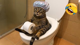 Try Not To Laugh 😂 Funniest Cats and Dogs Ever 😹🐶 Part 2