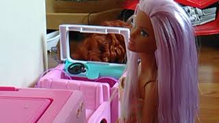My life as Barbie