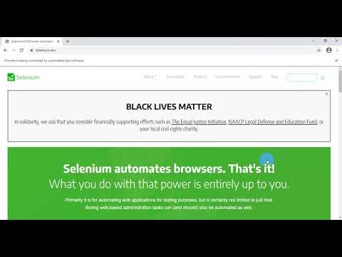 Selenium.dev Automation Testing