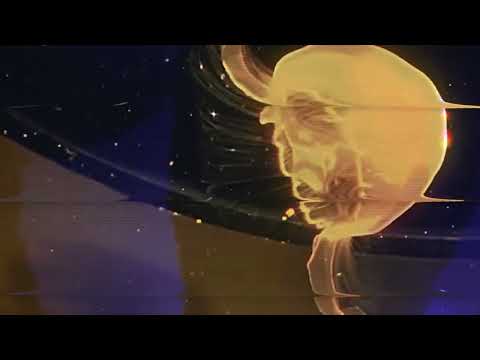 Jellyfish Anthem - echo