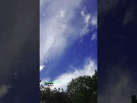 #sky #nature #song #viralshort #shorts