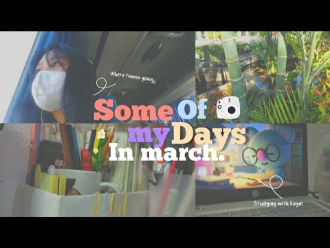🥑Some of my days in the month of March!🌼