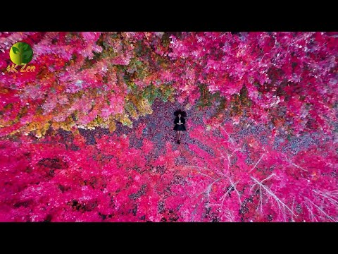 Relaxing In Awe (Episode 3)