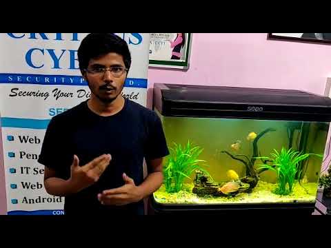 Cryptus Cyber Security Reviews