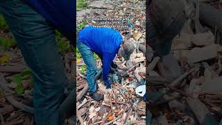 The Sad Reality of Plastic Pollution On The Ocean