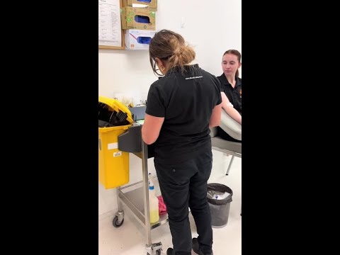 Pathology In Action at All Health Training