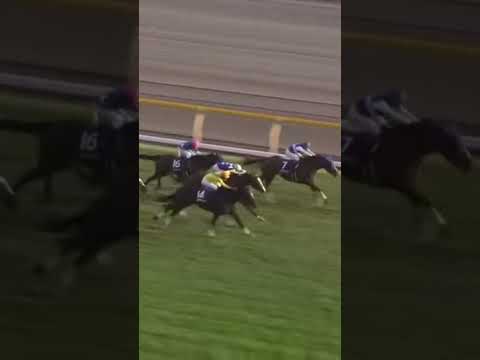 2008年　天皇賞　秋　ウオッカ