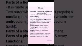 Class- 6. Science # Flower # definition# parts and function.