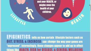 Beyond The DNA: An Informative Guide to Epigenetics and Health Description