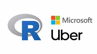 Data Science with R for Businesses and Professionals