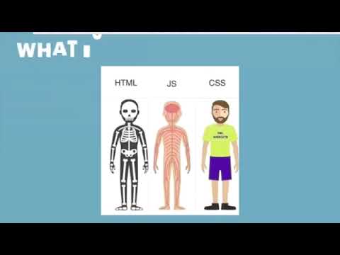 HTML, CSS & JavaScript | Web Designing Tutorial | How to do ?