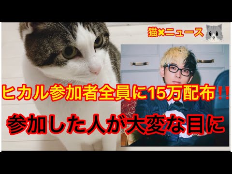 ヒカルの参加者全員に15万配布に参加した人達の後日がヤバすぎる　人生終了　ヒカルは悪くない　(ヒカル　現金配布　15万配布　詐欺　ラファエル　誹謗中傷　炎上　トレンド　バズり　猫✖︎ニュース)#287