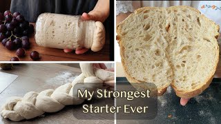 My Strongest Starter Ever – Made from Grape Must! Naturally, Ideal for All Breads and Sweets