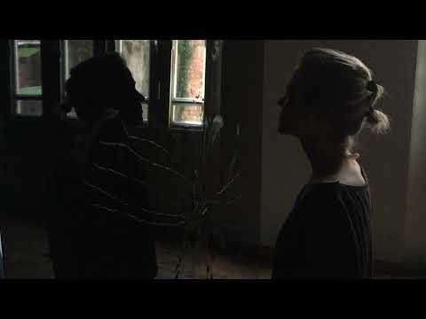 DIRK MATUSCHKA: HORMON: ADRENALIN