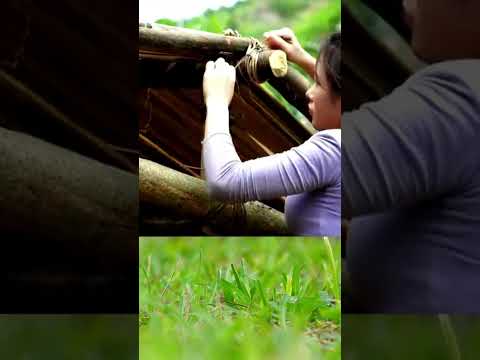Bushcraft wilderness survival shelter Part 3 #survivalshelter #bushcraft