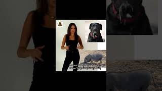 Ashley St. Clair (The Babylon Bee) tongue moves a lot | Indian response @TheBabylonBee #sethdillon