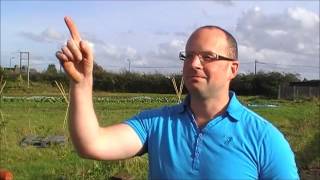 Sutton Council Employee Volunteering Day Oct 17 2012