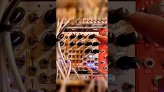 Joranalogue Module names are Wild!