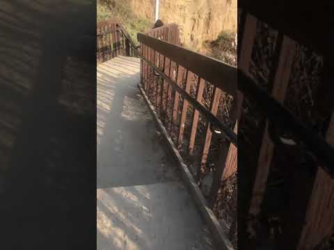 Una tarde con los amigos y niños