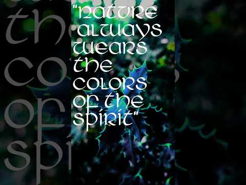 #fyp #viral #videography #photography #aftereffects #videoediting #luts #ireland #forest #nature