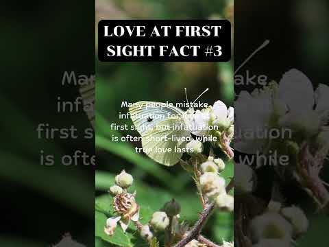 Love at first sight fact #3