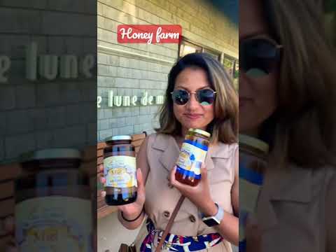 A French getaway you didn’t know you needed #canada #sherbrooke #shorts