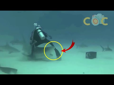 35 Luckiest People Caught On Camera!🤯🍀🍀