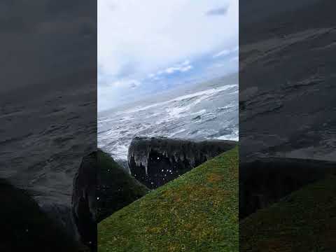 Don't Step Here!Не наступай!别踩这里! #SatisfyingVideo #OceanVibes #ViralShorts  #NatureTrap #DangerZone