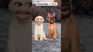 सराब मत पीना 😇😅🤣#devcomedy #comedymovies #funny #funny #devucomedy #comedyfilms #funnycomedy