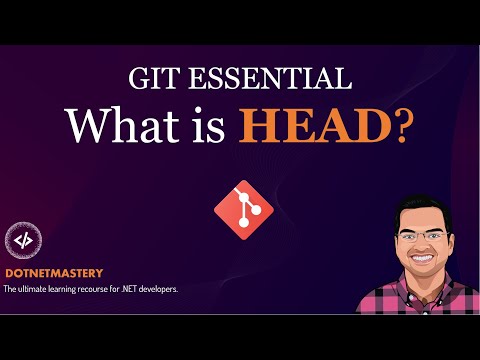 What Exactly Is HEAD In Git? Demystifying The Mystery!