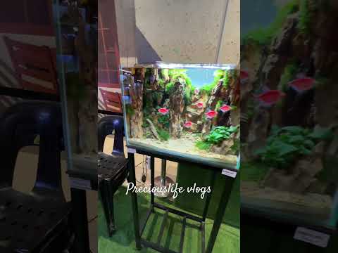 Visiting Aquarium Exhibit