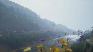 《Early Morning Valley》，VitrellaCore Education