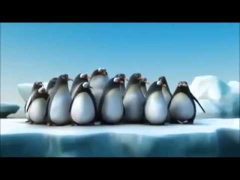Penguins vs Shark