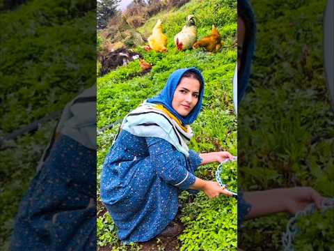 Cooking chicken fesenjan in iran #village#iran#shorts#short#shortsvideo#viralvideo🥰#viralshorts#food