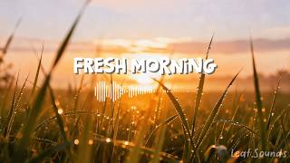 Fresh Morning Chill 🌿 | Tropical House & Chillout Beats for a Calm Start