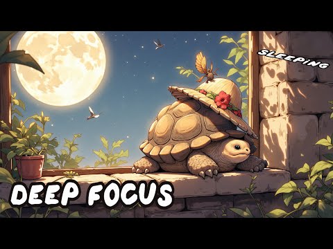 Golden Hour Lofi for Deep Concentration ✨